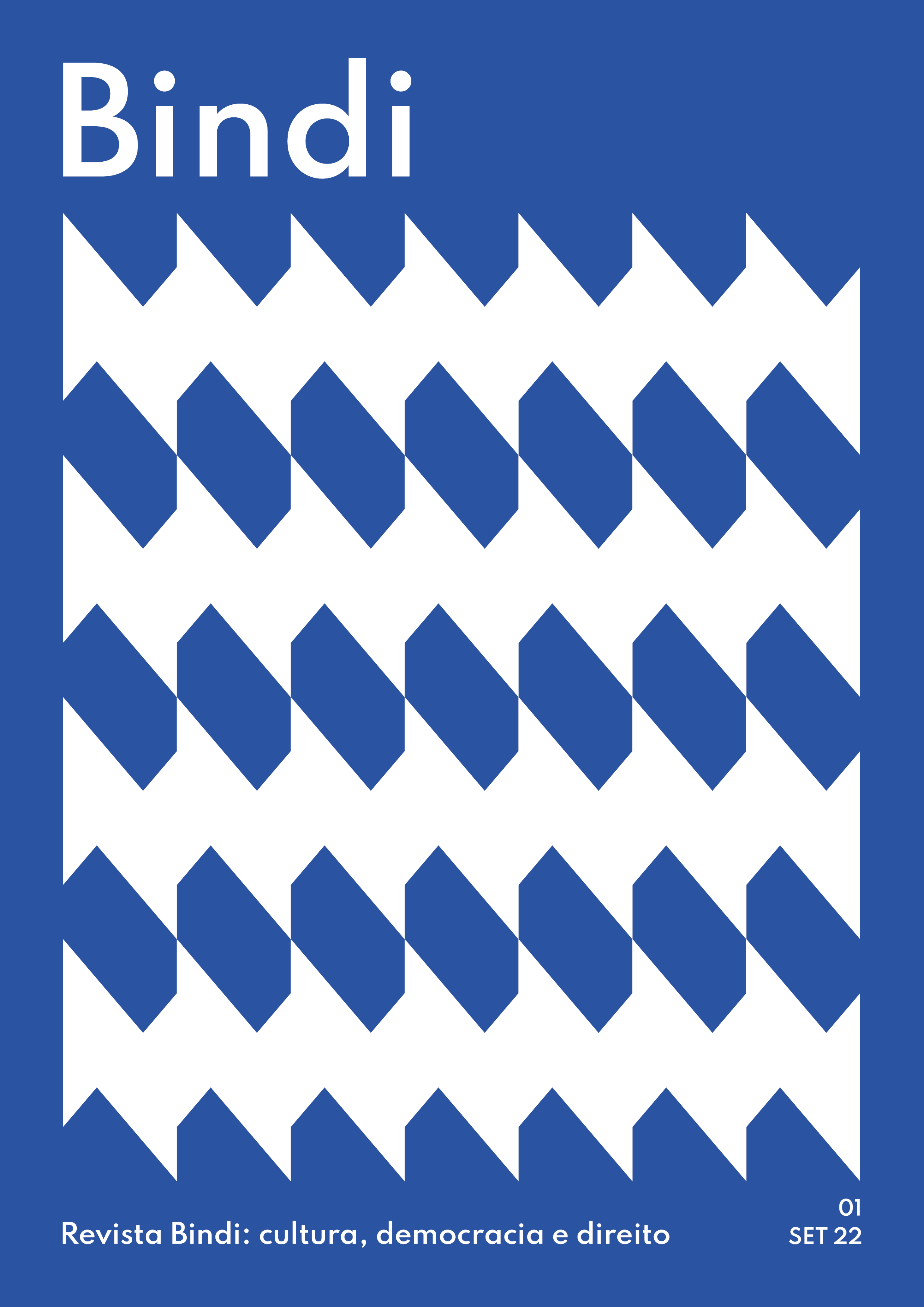 Revista Bindi: cultura, democracia e direito, capa com padrões geométricos em azul e branca